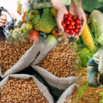 LEY PARA LA INTEGRACIÓN DEL SECTOR PRODUCTIVO PRIMARIO Y AGROPECUARIO DECRETO NÚMERO 31-2024