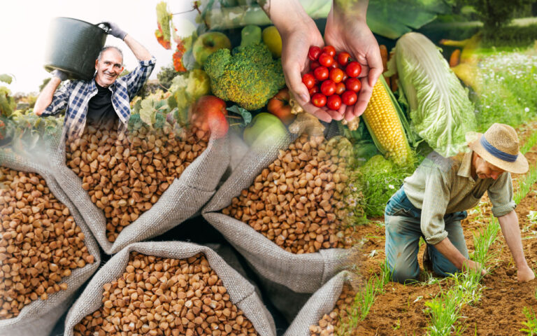 LEY PARA LA INTEGRACIÓN DEL SECTOR PRODUCTIVO PRIMARIO Y AGROPECUARIO DECRETO NÚMERO 31-2024
