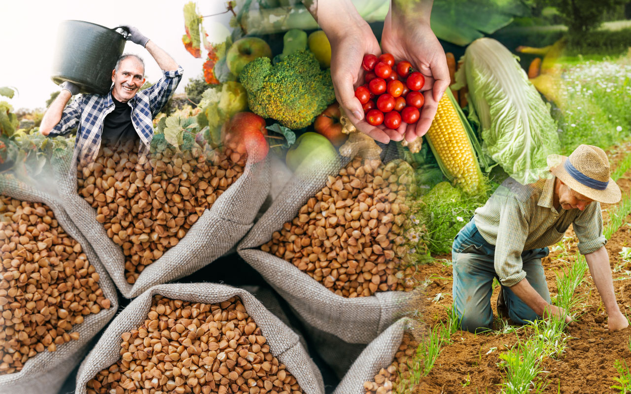LEY PARA LA INTEGRACIÓN DEL SECTOR PRODUCTIVO PRIMARIO Y AGROPECUARIO DECRETO NÚMERO 31-2024
