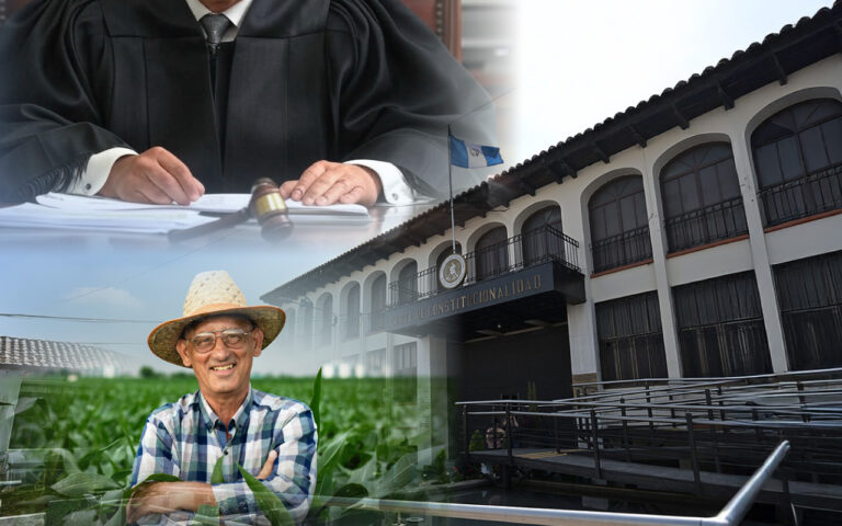 Primeras Inconstitucionalidades a la Ley del Sector Primario y Agropecuario (Decreto 31-2024)